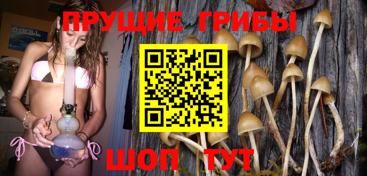 Псилоцибиновые грибы прущие грибы  Вход с VPN  Михайловка 