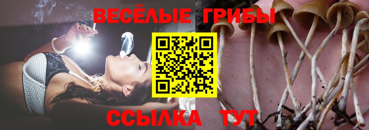 Галлюциногенные грибы MAGIC MUSHROOMS Михайловка